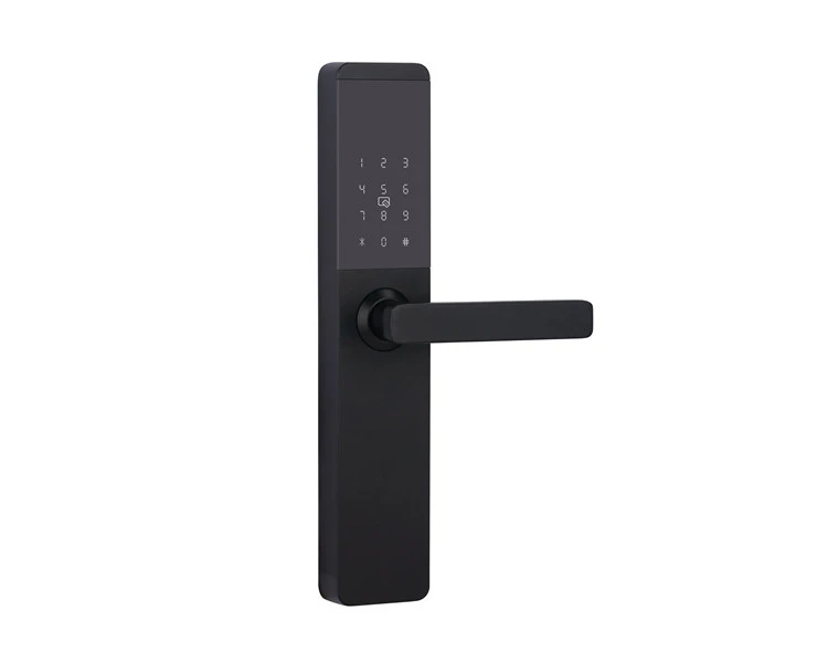 Wifi tuya includes remote unlock temporary password limited time password function door lock