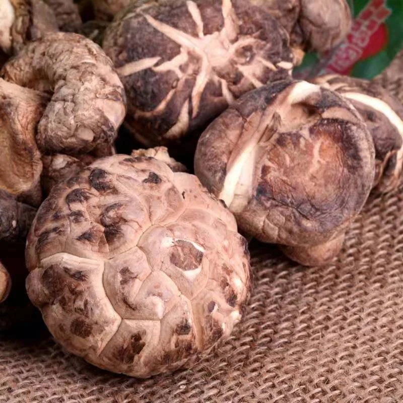 Wild Dried Shiitake Mushroom HACCP 200g  Premium Flower Mushroom
