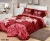 Import World class super soft 100% polyester Blanket Raschel 4 sets  bedspread from China