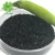 Import XYBIO Best Quality Plant Nutrient Organic Fertilizer Potassium Humate Powder from China