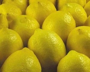 Yellow Lemon & Green Lime fruits