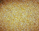YELLOW WAXY CORN/MAIZE