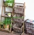 Import Zakka pastoral style solid wood furniture - Chlorophytum - Basket - book rack - press frame from China