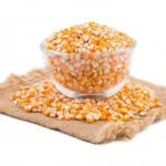 Yellow and White Maize, Dried Yellow Corn, Popcorn, White Corn Maize / White Maize / Corn (NON GMO) for Human Consumpti