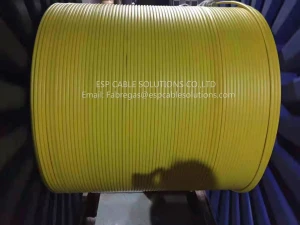 TEC Cable (Tubing Encapsulated Cable)