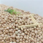 Premium Quality Organic Kabuli Chickpeas 9mm+ Size Bulk Export for Canning Industry High Protein Clean and Natural