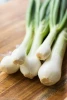 Low cost Bianca di Maggio Onions for trade