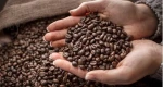 Premium Coffee Blend Beans