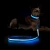 Import LED Collar for dog from Taiwan