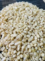 White and Yellow Maize for Sale