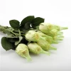Wholesale Compostable Flower Protection ECO Mesh Packaging Net