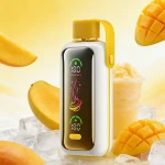 VOZOL Star 20000: Wholesale Starlight Glow Disposable Vape 20K Puffs Price – Shenzhen China