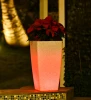 Paris-Illuminated planter