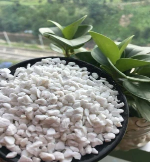Horticulture Expanded Perlite 3-6mm