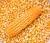 Import Yellow Maize from Kenya