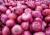 Import EXPORT QUALITY RED ONIONS from India
