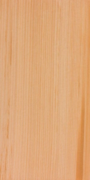 Premium Silver Fir Timber Bulk Supply High Quality Wood Export Grade Material