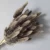 Import Wholesale Dried Flowers Floral Decoration Dried Lagurus Ovatus Bunny Tails Grass from China