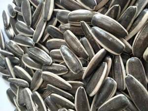 363.361.5009.601 organic sunflower seed in inner mongolia China