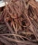 Import copper wire scrap from Tanzania