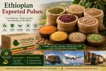 Pulses