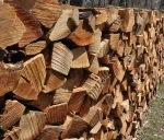 Wholesale Supplier of Hardwood Oak Wood Firewood for Heat Energy Bulk Quantity Ready for Export