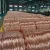 Import High Quality Galvanized Iron Wire / Low Carbon Steel Wire Rods in Coils from China