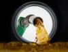 Diesel Fuel