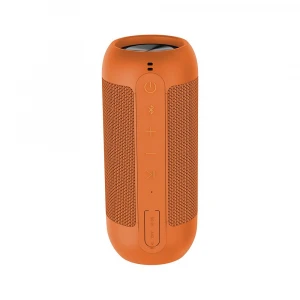 Portable Mini Bluetooth Speakers, Outdoor sports wireless speaker, 10 Watt with stake