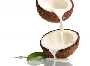 Premium Quality Organic Coconut Milk