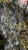 Import High quality and bulk Copper Ore from 15-21% from Tanzania