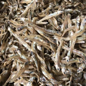 Dried Anchovy Fish