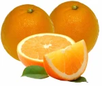 Buy Fresh Valencia Orange/Fresh Mandarin Orange/Egypt oranges