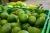 Import Hass Avocado from Kenya