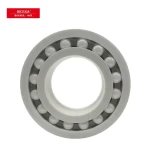 ceramic bearing