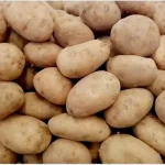 Indonesian Fresh Potatoes