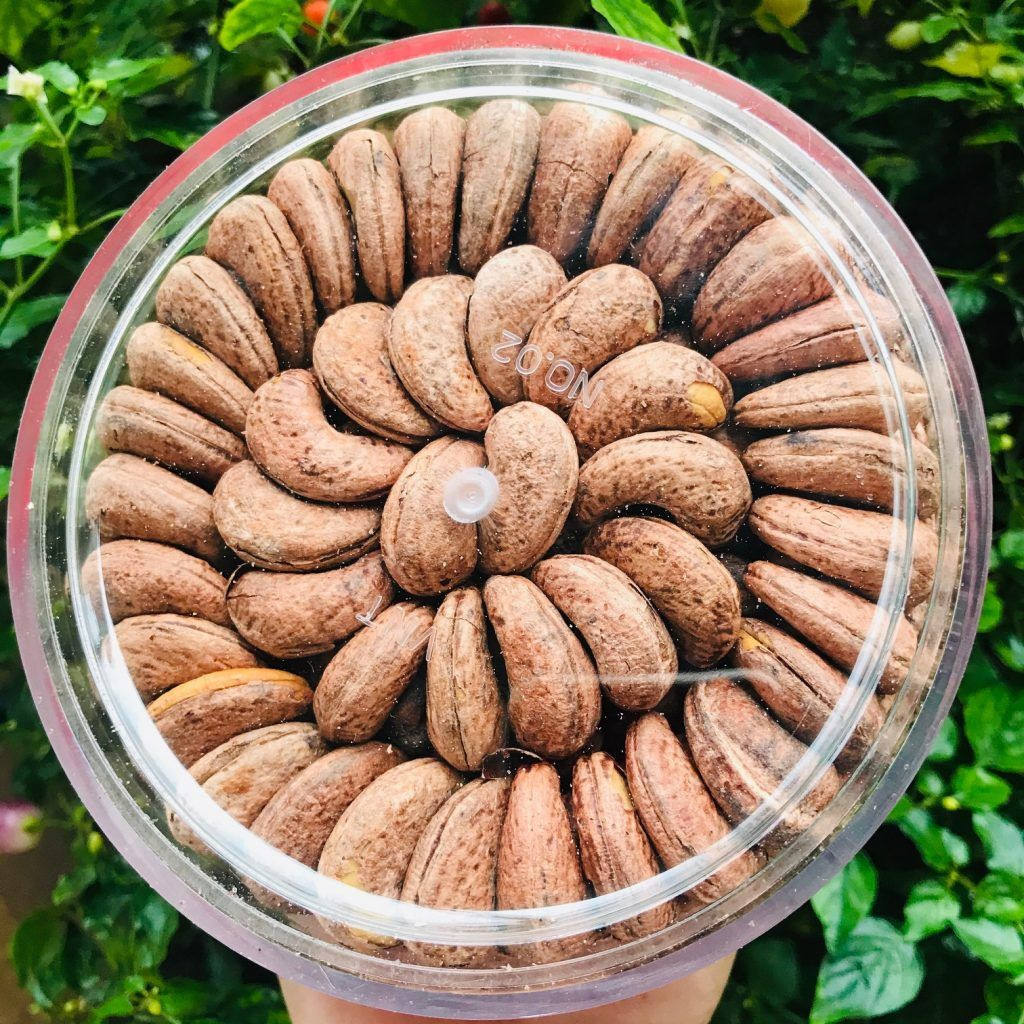 Buy Cashews From Vietnam from Sao MInh Anh Ltd., Co, Vietnam