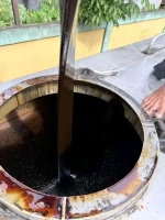 Molasses sugar cane