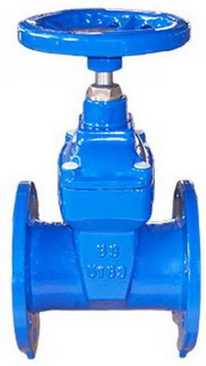 Gate Valves, Bolted Bonnet, Cast /Ductile Iron in Whole Price