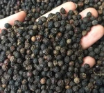 Vietnamese Black Pepper Whole Peppercorns Dak Lak Natural Bulk Export
