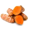 Premium Quality Whole Turmeric High Quality Natural Variety Turmeric Finger at Best Price