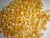 Import Yellow corn (Grade - 2 for Animal Feed) from South Africa