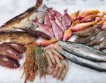 Frozen Seafood and Farmed Shrimps