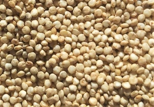 Natural White Quinoa