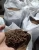 Import PALM KERNEL CAKE from Indonesia