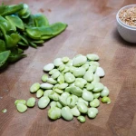 Hot Selling Price of Large Lima Beans in Bulk Quantity