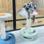 Import Factory direct small cat nest sunflower teddy fleece cat tree multifunctional cat climbing frame toys pet supplies from China
