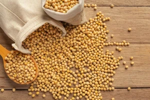 High-Quality Non-GMO Grade A Soybeans
