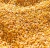 Import Yellow Corn yellow maize for poultry feed from Ukraine