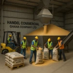 high-quality Ghana Yellow Maize